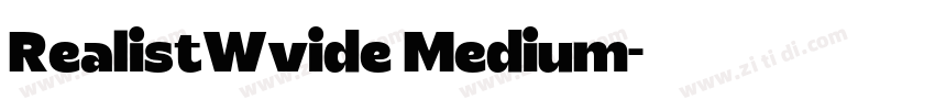 RealistWvide Medium字体转换